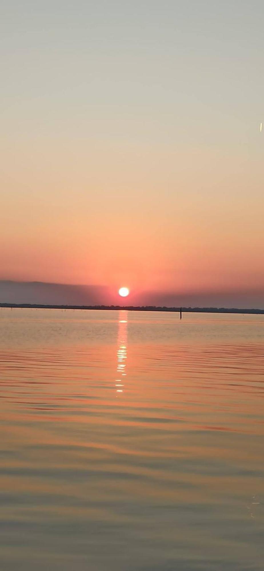 Apartament Mare Pineta Lido di Volano Zewnętrze zdjęcie